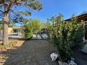 Jardín